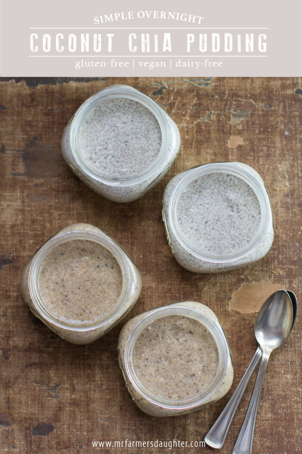 simple two ingredient chia pudding