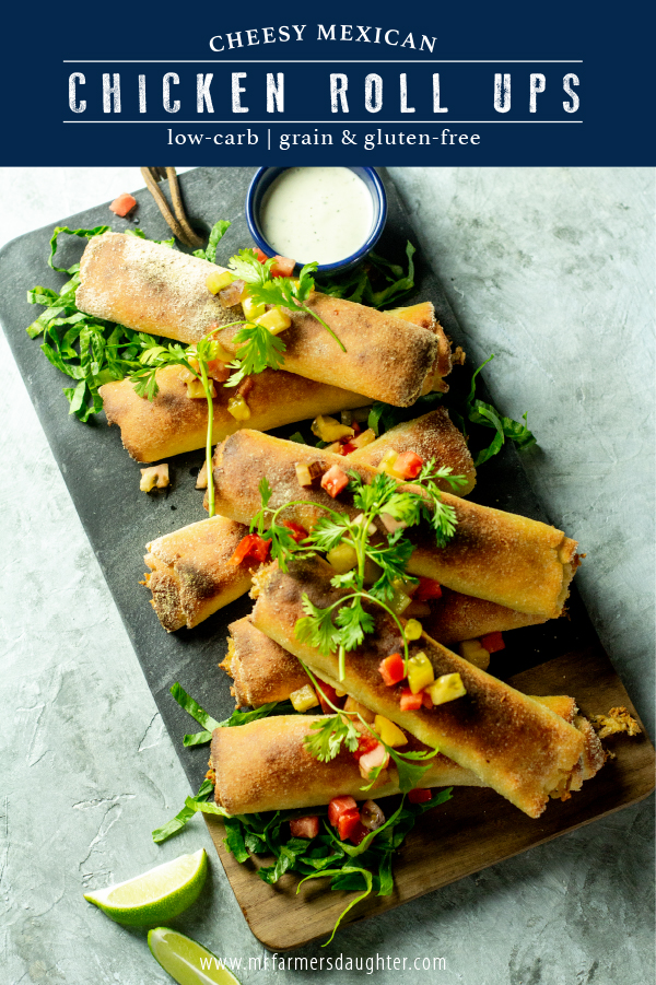 Low-Carb Cheesy Mexican Chicken Roll-Ups