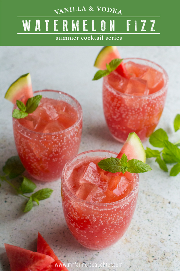 Watermelon Fizz Cocktail