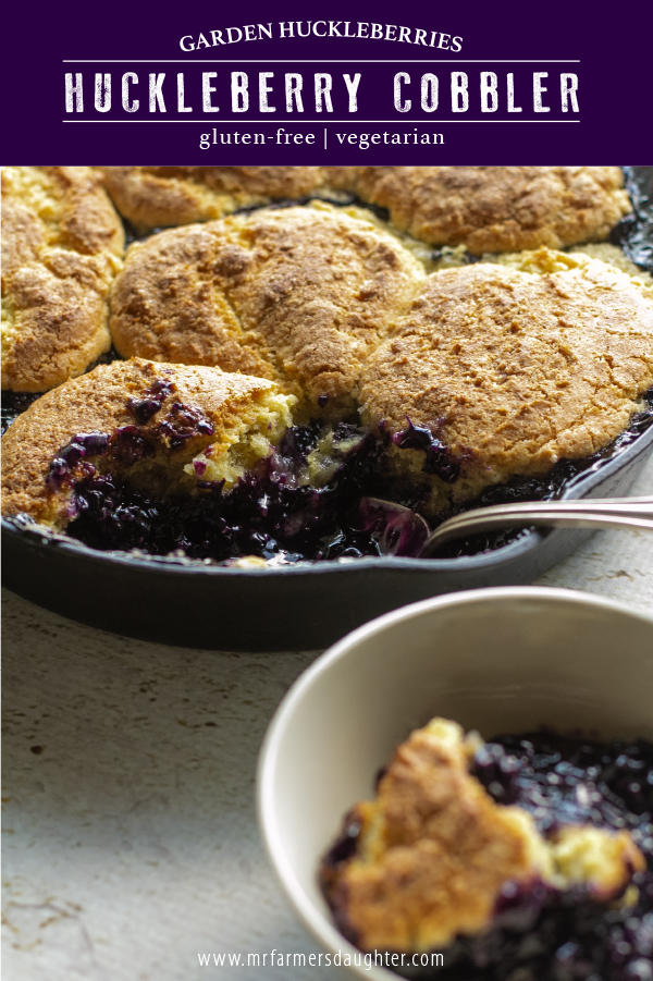 Huckleberry Cobbler Mr Farmer S