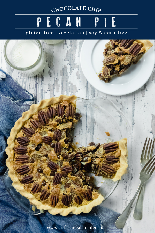 Chocolate Chip Pecan Pie