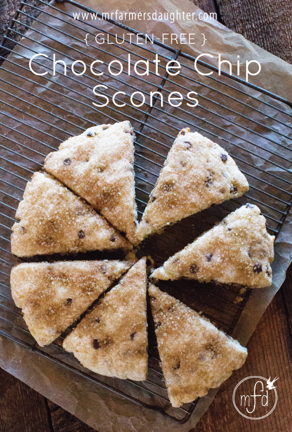 Chocolate Chip Scones