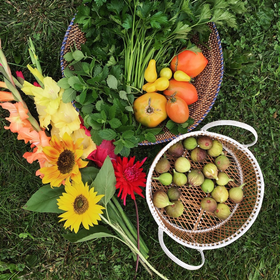 Everything went pretty well until mid-August when Hurricane Irene rolled in and literally destroyed the garden in a few hours. I ended up returning everyone’s pro-rated payments for the rest of the season. I just didn’t feel right about keeping it – although I know that they assume the same risk as me, the “farmer.” Fast forward to 2017 and I was still growing more produce than I could use. I was working more which meant that I wasn’t even home to cook with it much. I gave away a lot and I put a big patch of the garden back to grass. But, I wasn’t ready to give up gardening completely. The feel of the cool dirt in my hands in the Spring feeds something in my soul that tending houseplants doesn’t. A lot of times I grow produce just because it’s beautiful, but I also grow it because I love the process. I love the planting, the tending and the eating. I just don’t love the harvesting and processing.