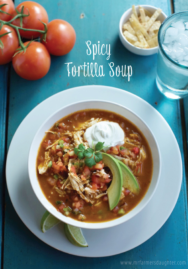 Spicy Tortilla Soup