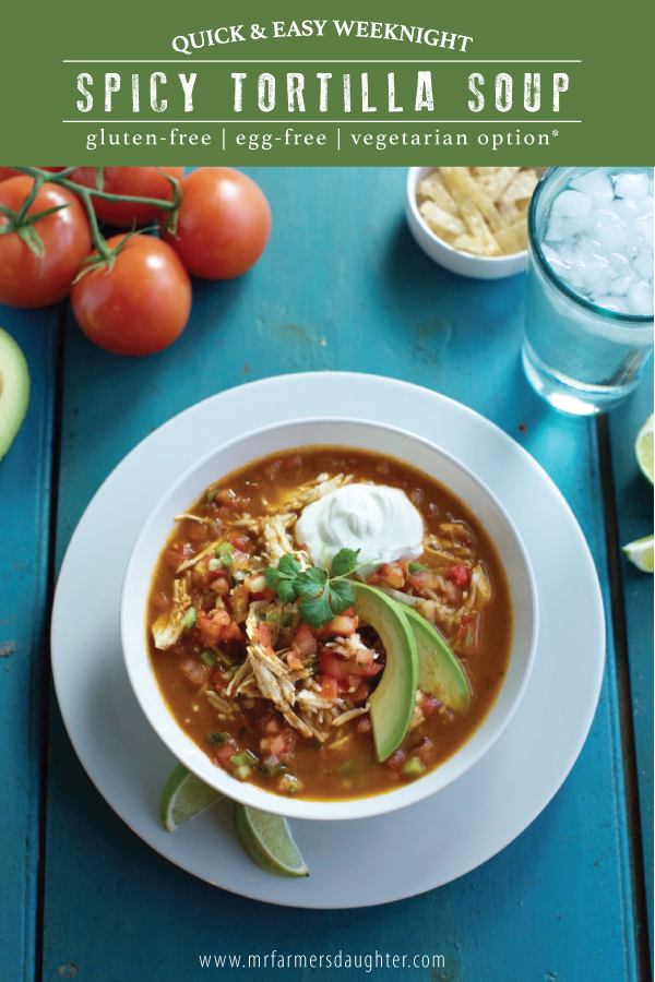 spicy tortilla soup